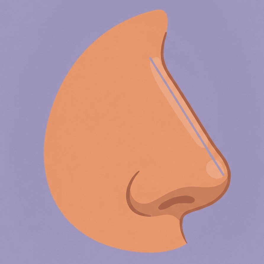 Nose